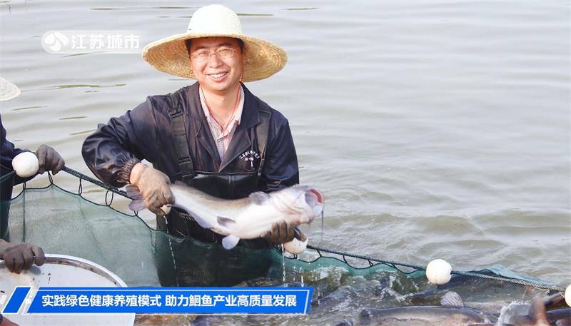 江苏省淡水水产研究所：实践绿色健康养殖模式，助力鮰鱼产业高质量发展(图6)