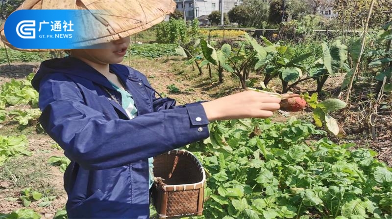 开化县天地外国语学校以劳动教育诠释学生多方位发展(图4)