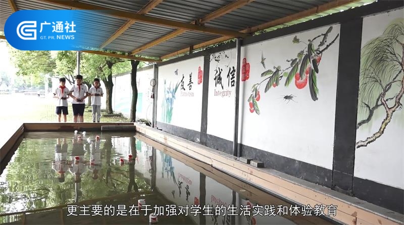 湖州市菱湖镇第三小学：让每一个孩子的梦想都开花(图6)