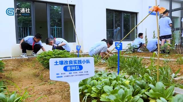 劳动创造美好生活，湖海塘小学研发《土壤应用与改良》校本课程(图3)