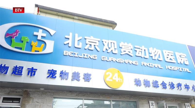 北京观赏动物医院开展24小时急诊服务，为宠物健康保驾护航
