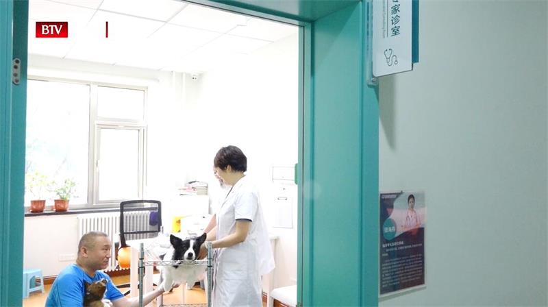 北京观赏动物医院开展24小时急诊服务，为宠物健康保驾护航(图4)