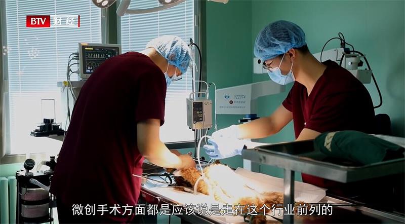 北京观赏动物医院开展24小时急诊服务，为宠物健康保驾护航(图5)