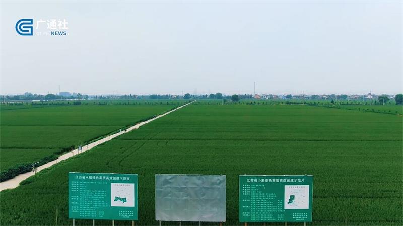为群众办实事，泰州市姜堰区农业农村局实施高标准农田建设促进乡村振兴(图2)