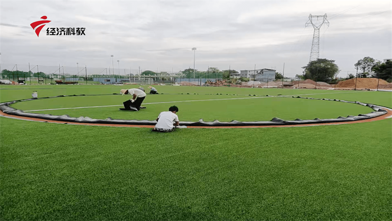 广州星卫草业专注运动草坪研发，促进足球运动不断发展(图2)