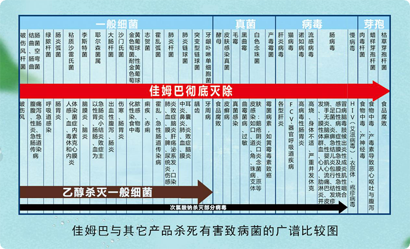 如何确保学生用餐安全？佳姆巴的校园卫生安全规范(图3)