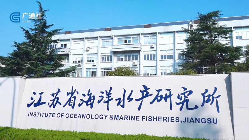 江苏省海洋水产研究所着力构建生态友好型海水养殖体系，助推绿色健康养殖产业发展