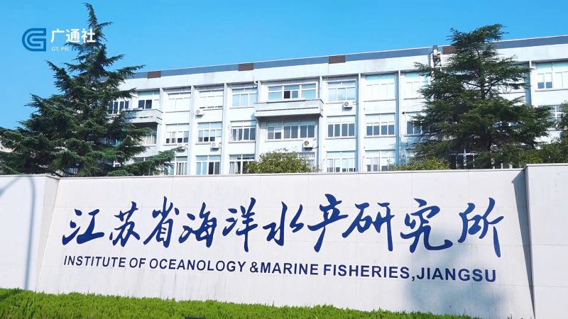 江苏省海洋水产研究所着力构建生态友好型海水养殖体系,助推绿色健康养殖产业发展