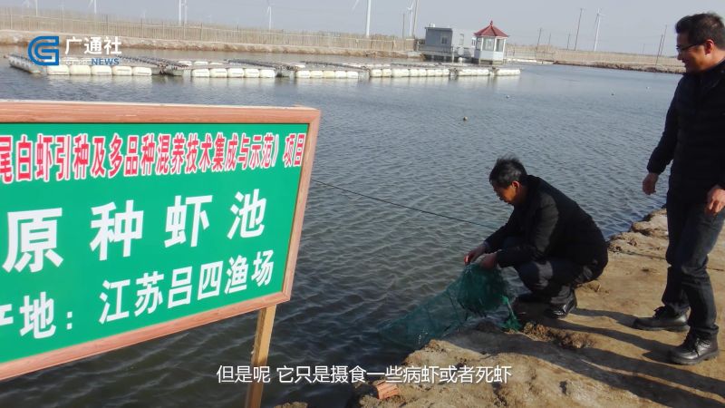 江苏省海洋水产研究所着力构建生态友好型海水养殖，助推绿色健康养殖产业发展(图5)