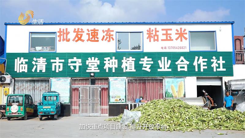 金郝庄镇人民政府加快新旧动能转换，不断推动地方经济高质量发展(图3)