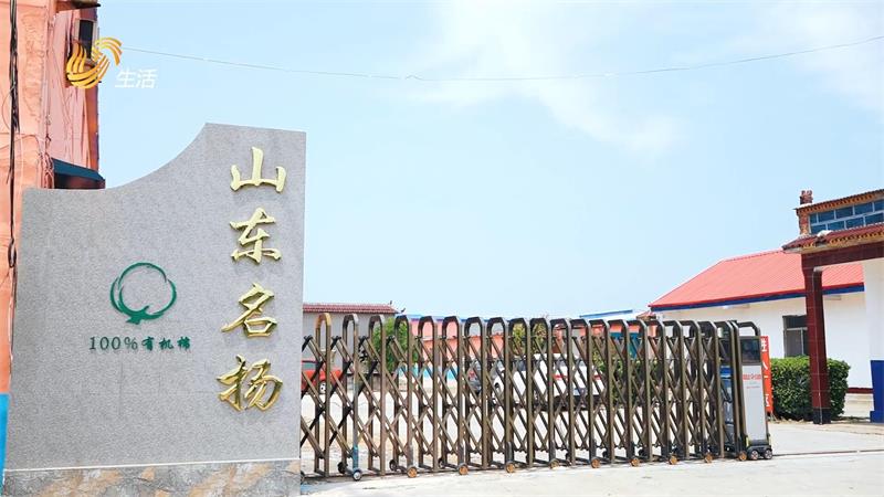 金郝庄镇人民政府加快新旧动能转换，不断推动地方经济高质量发展(图4)