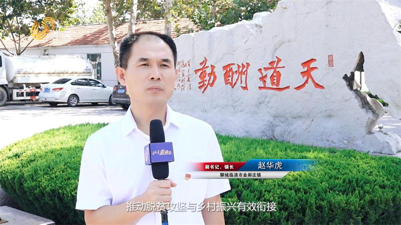 金郝庄镇人民政府加快新旧动能转换，不断推动地方经济高质量发展(图5)