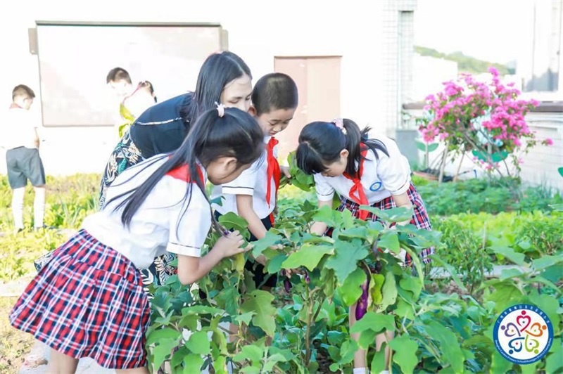 践行绿色教育，播下生态文明建设的种子 (图6)