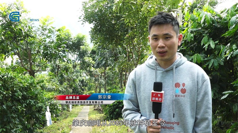 瑞世界坚持农业深耕，专注咖啡种植，打造独特的咖啡产业链(图3)