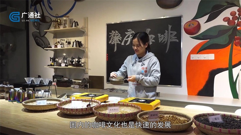 瑞世界坚持农业深耕，专注咖啡种植，打造独特的咖啡产业链(图4)