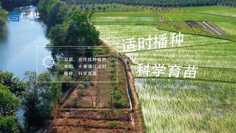 聚焦新三农，成子忠农机服务专业合作社助力地方农业经济不断发展(图3)