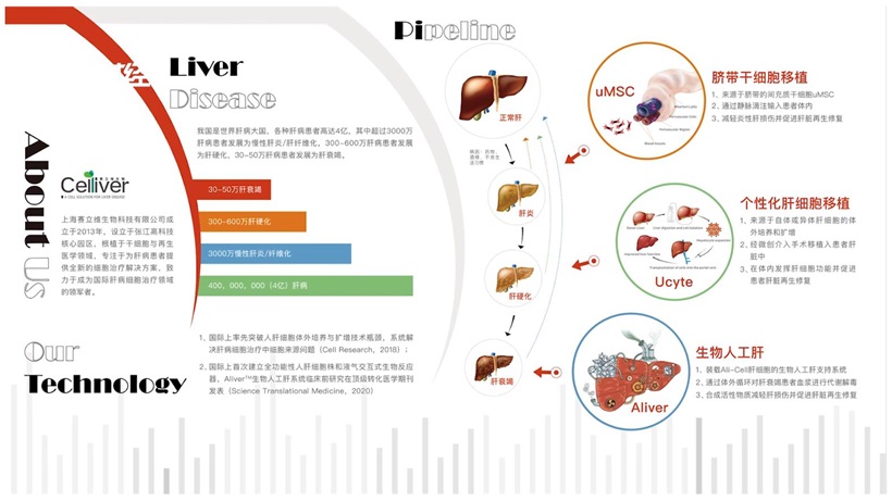 赛立维深耕干细胞研究，致力于成为国际肝病细胞治疗领域的领军者(图3)