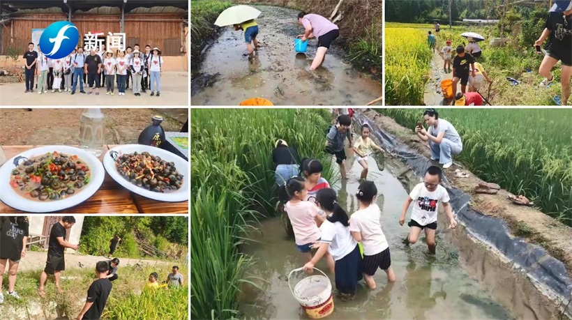 黄凹垄农作物种植家庭农场为实现品牌富农、乡村振兴贡献力量(图5)