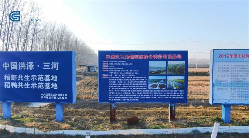 聚焦新三农，洪泽县三河镇祥发农机服务专业合作社助力乡村振兴(图5)
