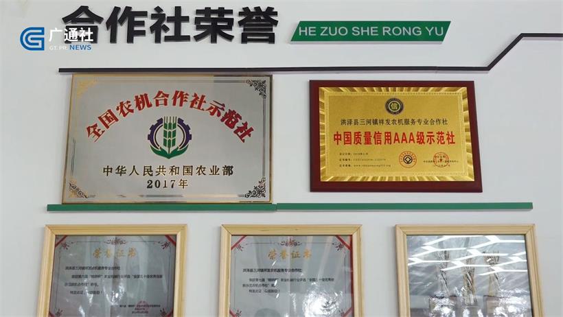 聚焦新三农，洪泽县三河镇祥发农机服务专业合作社助力乡村振兴(图6)