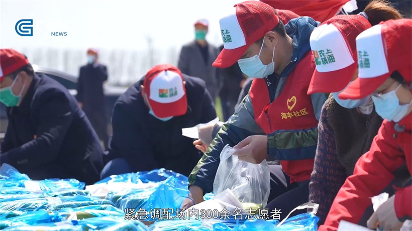 上海农场为保障城市“菜篮子”供应不断贡献力量(图3)