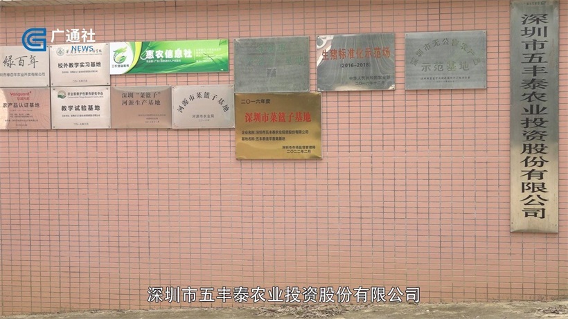 深圳市五丰泰农业投资股份有限公司打造连平高新农业生态园，助力绿色农业规模化发展
