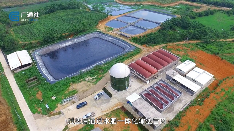 深圳市五丰泰农业投资股份有限公司打造连平高新农业生态园，助力绿色农业规模化发展(图3)