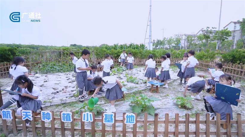 平湖市航天神箭幼儿园：播撒探究的种子，丰盈儿童的天性(图5)