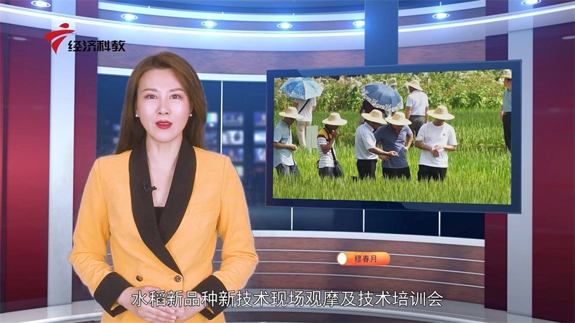 科技发展，助力乡村振兴——广东省农业科学院水稻研究所 (图1)