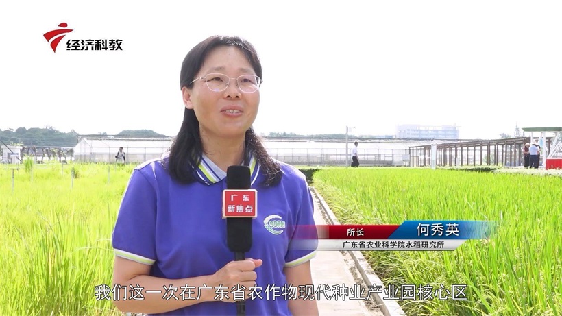 科技发展，助力乡村振兴——广东省农业科学院水稻研究所 (图2)