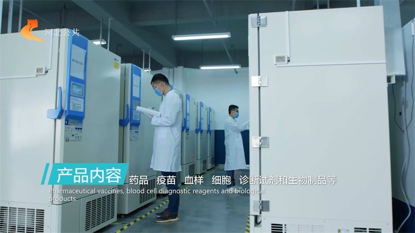 河北直通车发布河北电视台播出——迈迪朗杰 (图3)