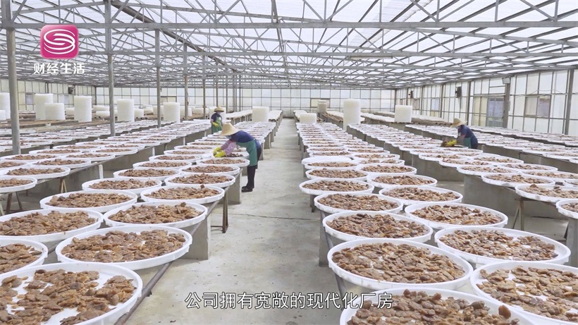 深圳华泰兴食品坚持传统工艺融合创新发展，生产口味丰富的凉果(图4)