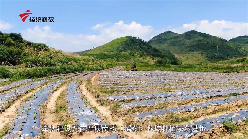 粤康产业集团积极响应国家乡村振兴号召，不断推进大健康产业可持续发展(图2)