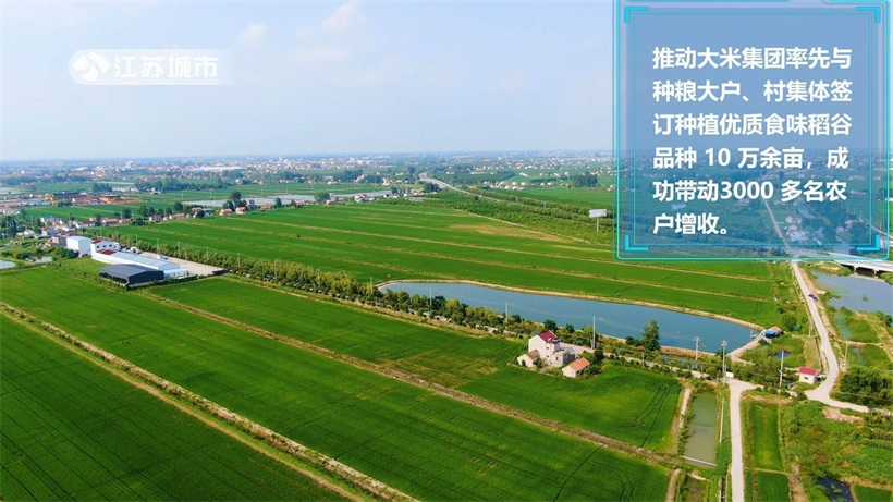 射阳县人民政府积极落实收储任务，牢守粮食安全生命线(图6)