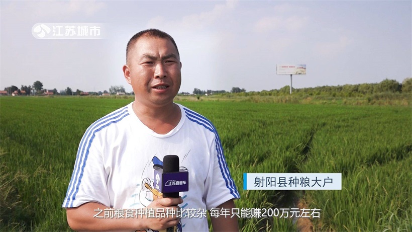 射阳县人民政府积极落实收储任务，牢守粮食安全生命线(图7)