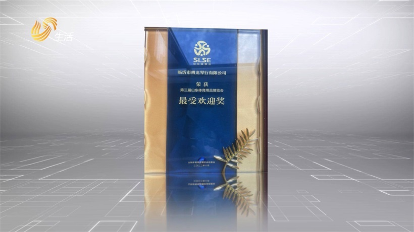 临沂市傅龙琴行为积极推广民族品牌亮相第三届山东省体育用品博览会(图7)