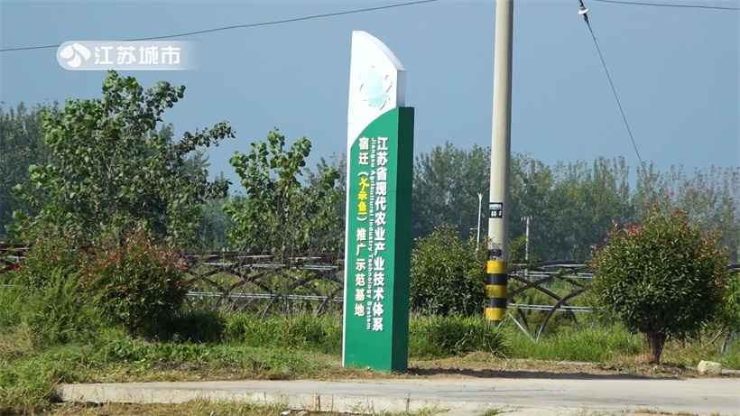江苏省淡水水产研究所：全力为“江丰1号”良种覆盖率的提升提供有效支撑