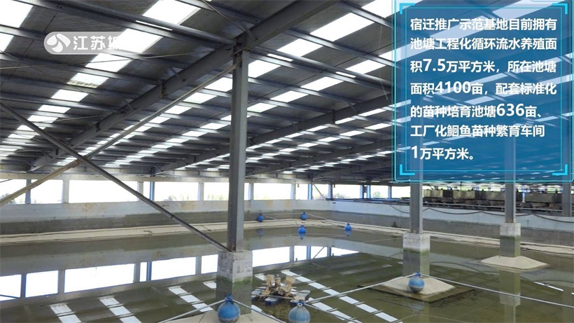 江苏省淡水水产研究所：“科技兴渔”，全力为“江丰1号”良种覆盖率提升贡献力量(图2)