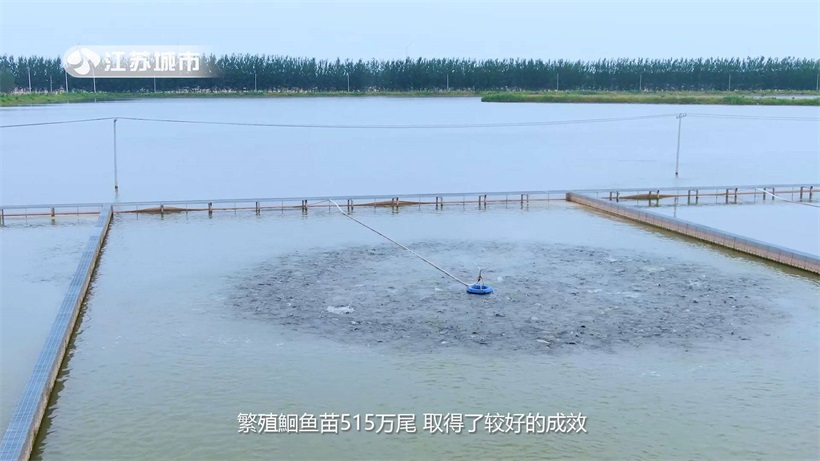 江苏省淡水水产研究所：“科技兴渔”，全力为“江丰1号”良种覆盖率提升贡献力量(图4)