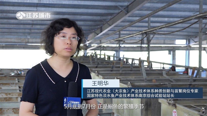 江苏省淡水水产研究所：“科技兴渔”，全力为“江丰1号”良种覆盖率提升贡献力量(图5)