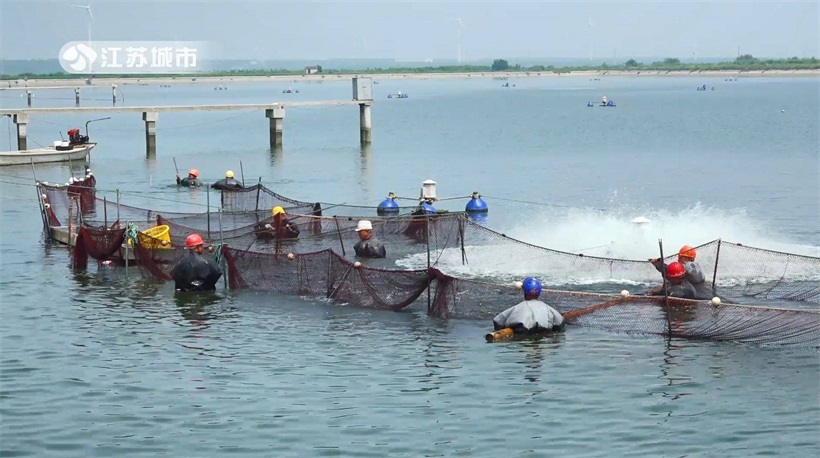 江苏省淡水水产研究所积极探索沿海滩涂大水面养殖新模式(图5)