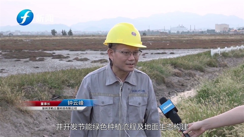 盐滩地红薯—洋屿土壤科技(图4)