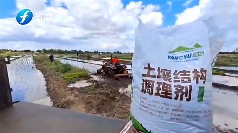 盐滩地红薯—洋屿土壤科技(图8)
