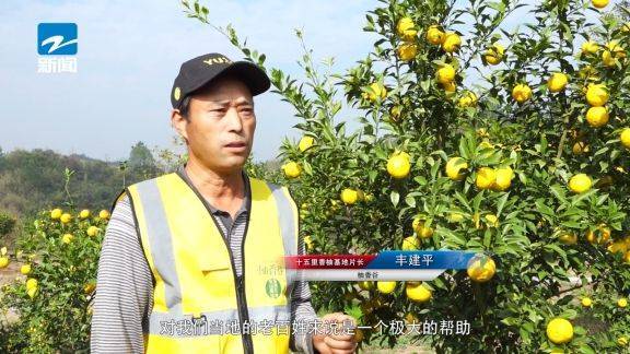 柚香谷双柚汁入选浙江省第一批“263共富农产品”(图6)