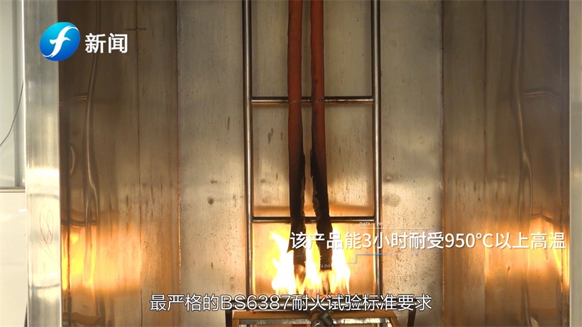 寻访福建新时代行业标杆——辉阳电缆(图6)