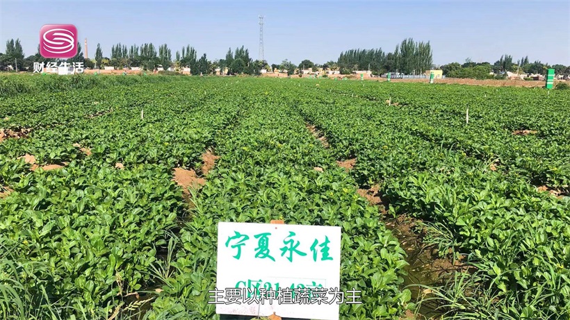 深圳市永佳农产品(图6)