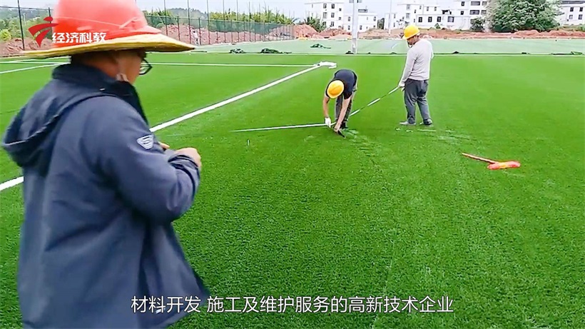 广州星卫草业坚持自主创新研发，解决传统草坪行业痛点(图2)