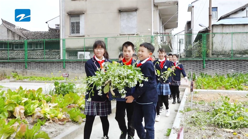 温岭市新河镇中心小学秉承“因你而美丽”的核心办学理念，培养美丽学生(图4)