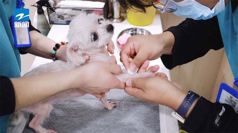 萌悦家宠物医院：动物福利至上，做有温度的宠物医疗(图3)