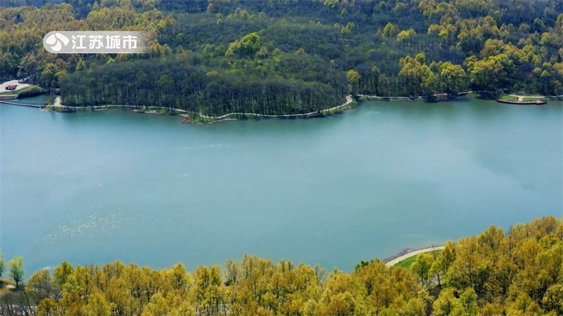 走进南京平山森林公园，感受不同的四季美景(图3)